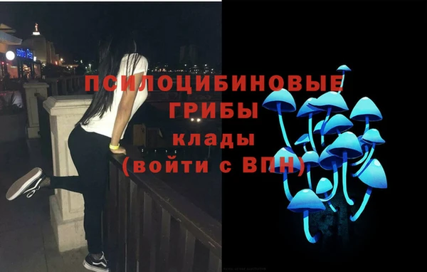 спайс Алексеевка