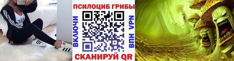 Псилоцибиновые грибы MAGIC MUSHROOMS  закладки  Лихославль 