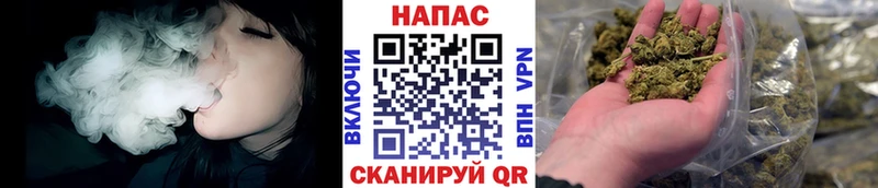 Бошки Шишки семена даркнет сайт Лихославль